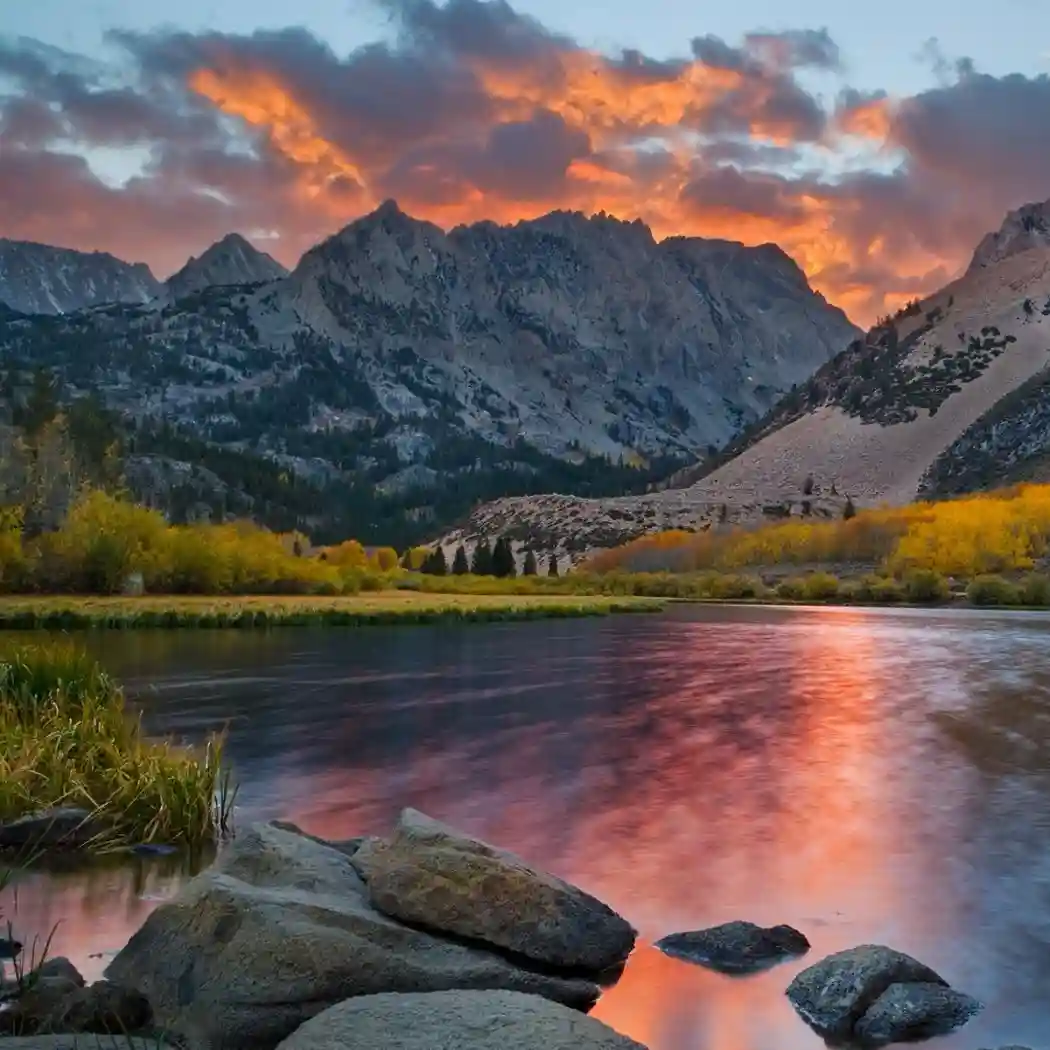 Group Image Gallery